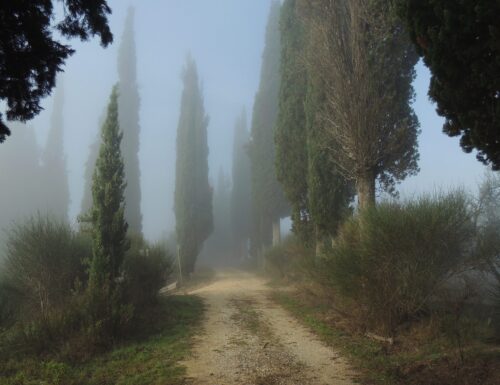 Nella nebbia – H. Hesse